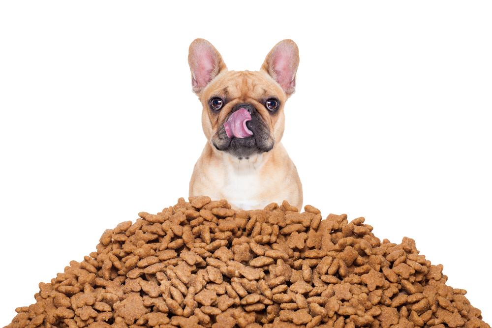 Store pet food dry food properly