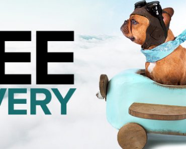 free delivery pet food